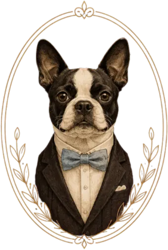 Our dog