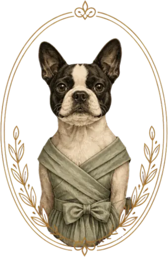 Our dog